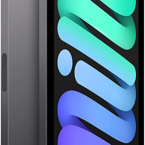 Apple iPad mini (2021) 64Gb Wi-Fi+Cellular Gris Sidéral