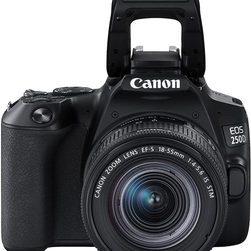 Canon EOS 250D Noir + 18-55 IS STM Noir Reflex Numérique 24.1 MP – Image 3