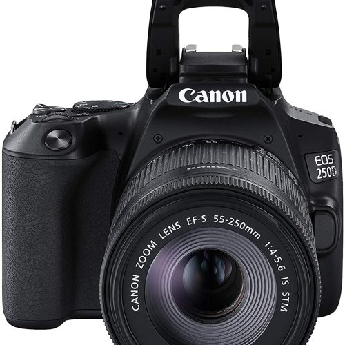 Canon EOS 250D Noir + 18-55 IS STM Noir Reflex Numérique 24.1 MP – Image 16