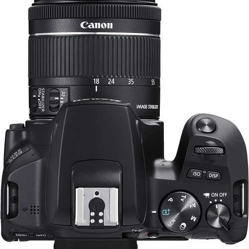 Canon EOS 250D Noir + 18-55 IS STM Noir Reflex Numérique 24.1 MP – Image 12