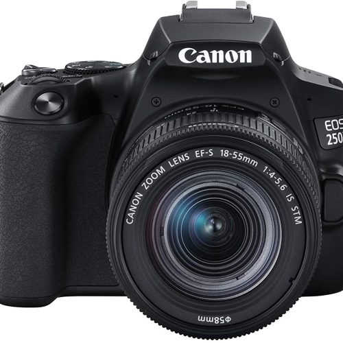 Canon EOS 250D Noir + 18-55 IS STM Noir Reflex Numérique 24.1 MP – Image 17