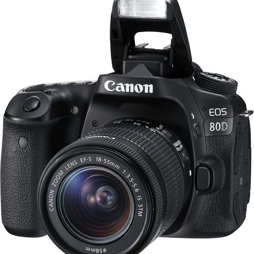 Canon EOS 80D Reflex Numérique + EFS 1855mm F/3.55.6 IS STM – Image 4